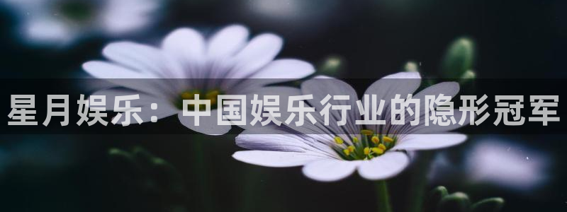 富邦娱乐