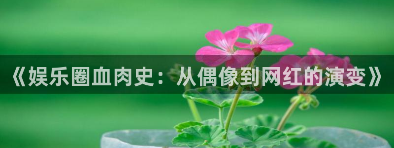 富邦娱乐：《娱乐圈血肉史：从偶像到网红的演变》