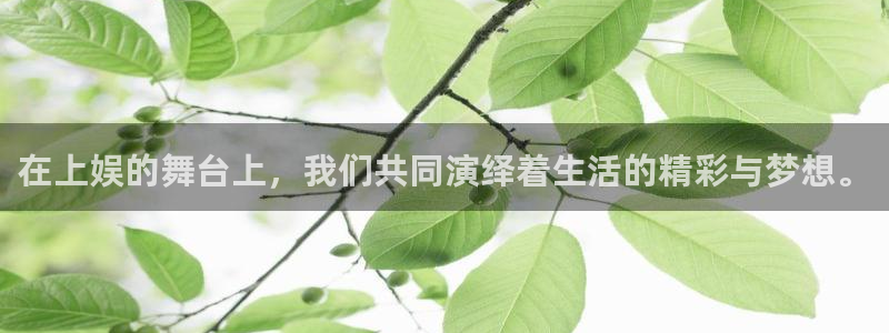 富邦娱乐：在上娱的舞台上，我们共同演绎着生活的精彩与梦想。