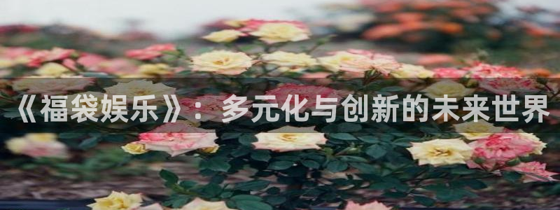 富邦娱乐：《福袋娱乐》：多元化与创新的未来世界