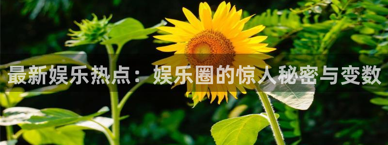 富邦娱乐：最新娱乐热点：娱乐圈的惊人秘密与变数