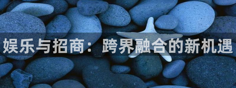 富邦娱乐：娱乐与招商：跨界融合的新机遇