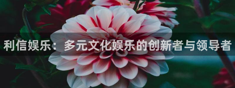 富邦娱乐：利信娱乐：多元文化娱乐的创新者与领导者